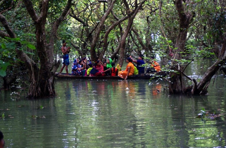 Ratargul Swamp Forest, Gowainghat, Sylhet Division, Bangladesh